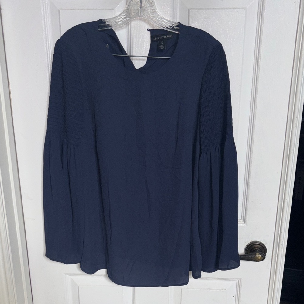 A Pea in the Pod- Deep Blue Blouse With Slacks